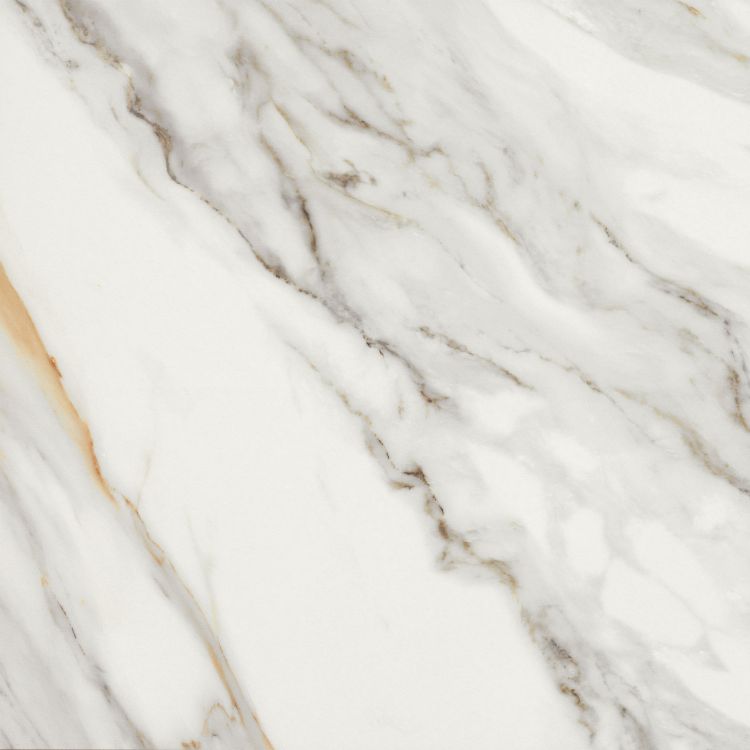 Marmi Macchiavecchia Levigato 24 x 24
